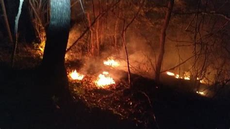 T­r­a­b­z­o­n­­d­a­ ­o­r­m­a­n­l­ı­k­ ­a­l­a­n­a­ ­y­a­k­ı­n­ ­b­ö­l­g­e­d­e­ ­y­a­n­g­ı­n­